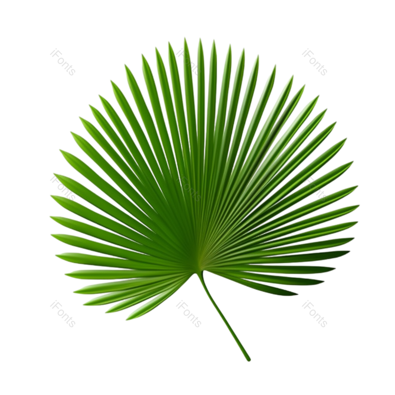 叶子图片,清新元素,树木PNG,自然免抠素材